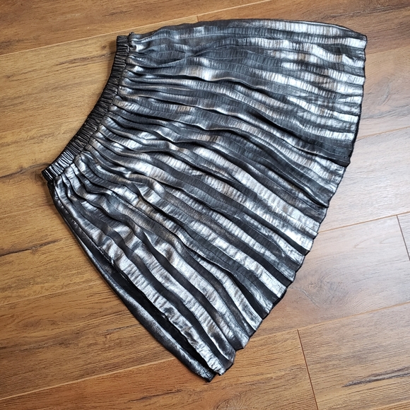 Place Black Metallic Pleated Skirt - Picture 2 of 5
